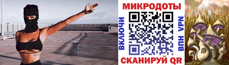 где найти   Сольцы  Галлюциногенные грибы MAGIC MUSHROOMS 